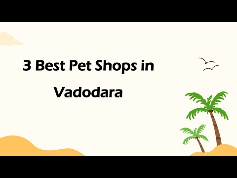 3 Best Pet shops in Vadodara, Gujarat 2025 | Pet stores