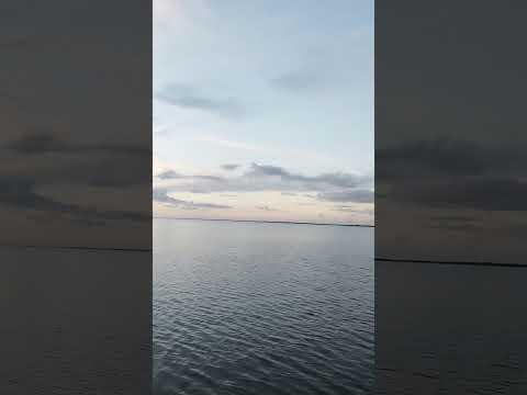 COCODRILEANDO en la Ciénaga de Zapata.