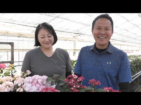 園芸 クズウコン、ヤマネ、祈りの植物