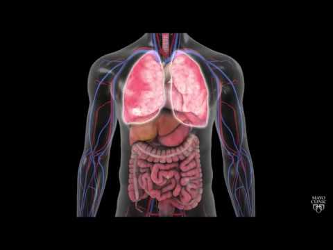 Mayo Clinic Minute: What happens to your body when you're allergic to food?