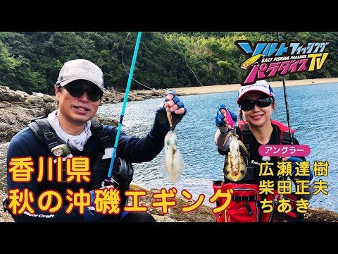 香川県　秋の沖磯エギング（ソルパラTV・第104回2022年9月22日放送）