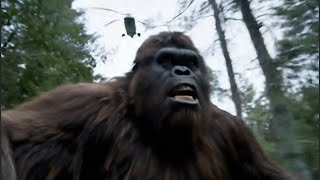 Bigfoot VLOG 2 - I GOT SWATTED BY THE FEDS