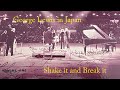 George Lewis - Shake it and Break it (restored 1963 original jazz vinyl LP)