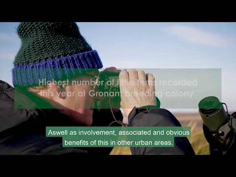 Corporate priority - Environment