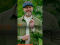 Steve Mann on the importance of eye contact #shorts #stevemann #dogtraining