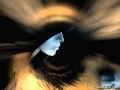 Splitternackt - Andrea Berg