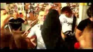 Amber Pacific - Fall Back Into My Life (Official Music Video)