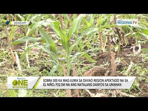 One Mindanao: Sobra 500 ka mag-uuma sa Davao Region apektado na sa El Niño