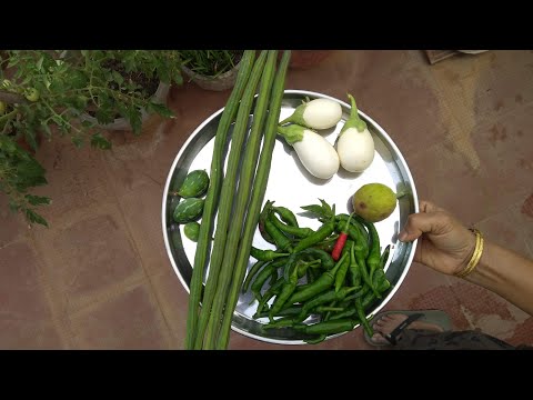 Harvesting Fruits and Vegetables from my Terrace Garden