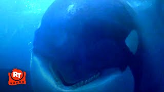 Free Willy - Oh No, Willy Gets Scared!