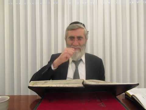 הרב יהושע ביבי - תשפ"ו - שער המצוות - שיעור מס' 012 - סוגיית כתנות אור ובחי' עור מפ''א משער החשמל