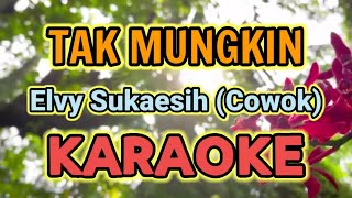 Download lagu Tak Mungkin (Cowok) KARAOKE || Elvy Sukaesih mp3