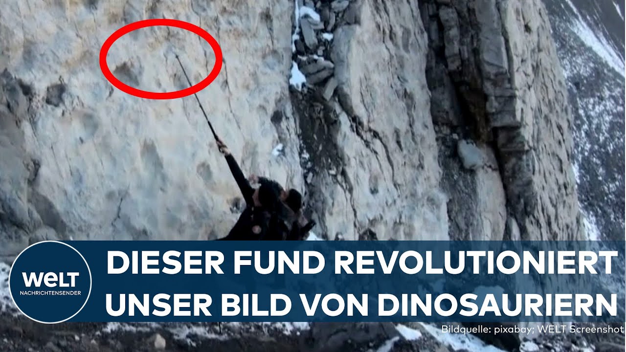 ITALIEN: Spektakulärer Fund! Tausende Dino-Fußabdrücke belegen Herdenverhalten vor 210 Mio. Jahren