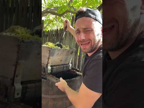 Aolooo #funny  #funnyvideo #comedy #couplevolgs #comedylovervlog #couple  #familyvlog  #comedyshorts