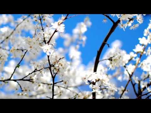 Best DUA ever with a heart trembling voice