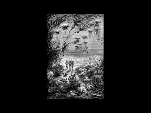 Liuos - Every Day Carry [PDVD001]