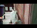 Kitten Vs Curtain Kitten Hanging On A Curtain Kitten Meow Kittenmeow Kittenlovers Naughty