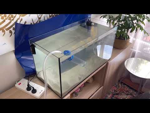 Installing an Aquael Leddy for Walking fish