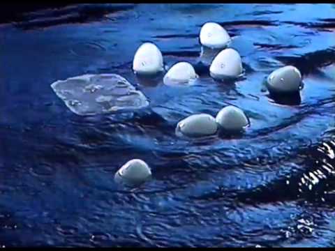 Svenska Livräddningssällskapet - Anslagstavlan: Var inte för många i båten