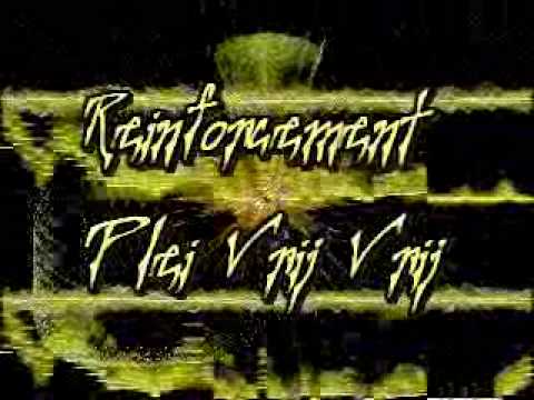 Reinforcement - Plei Vrij Vrij