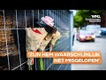 Schietpartij Rotterdam: hoe gaat het met betrokkenen en ooggetuigen?