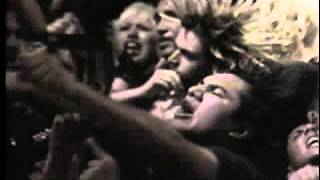 the casualties - punx and skins
