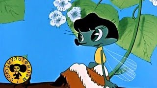 Ảnh mẫu