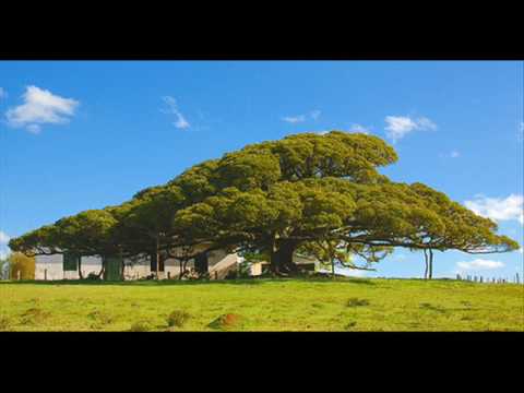 Passo fundo do coração video