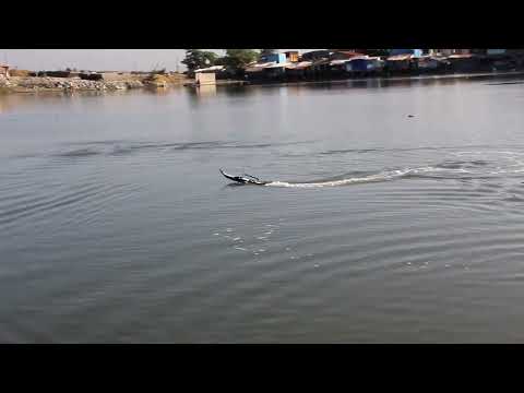 #RC HIGH SPEED BOAT