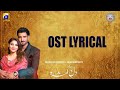 Dil e gumshuda | OST  | Lyrical | GEO TV  | Nabeel Shaukat Ali