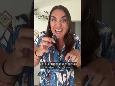 LA visite que les agents immobiliers détestent 😱 🤣