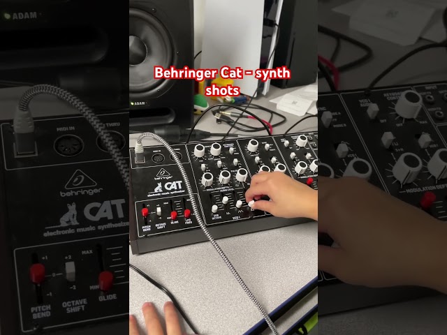 Vídeo relacionado con Behringer CAT Sintetizador Analógico Parafónico Mítico Con Doble VCO, 4 Formas De Onda Mezclables, Procesador De Señal Externo, Policadena De 16 Voces Y Formato Eurorack