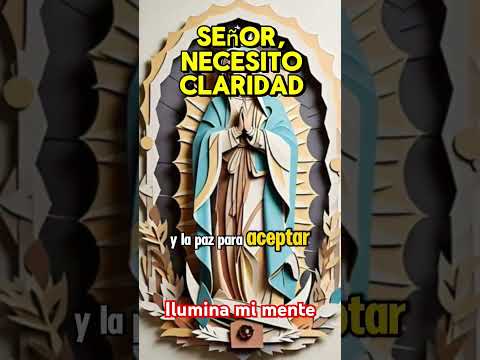 Señor, hoy solo te pido claridad#OracionDeLaMañana #DiaConFe #SenorGuiaMisPasos #ElSantoRosarioConFe