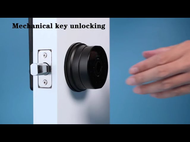 راي كيوب K10P قفل باب براحة اليد