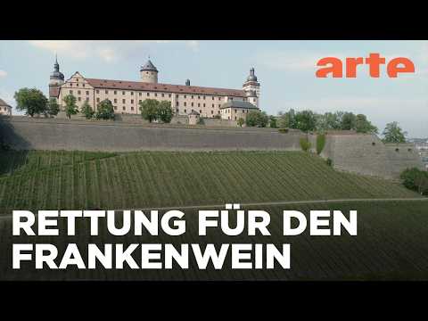Deutschland: Herausforderung Klimawandel | Die wunderbare Welt der Weine | ARTE Fernweh