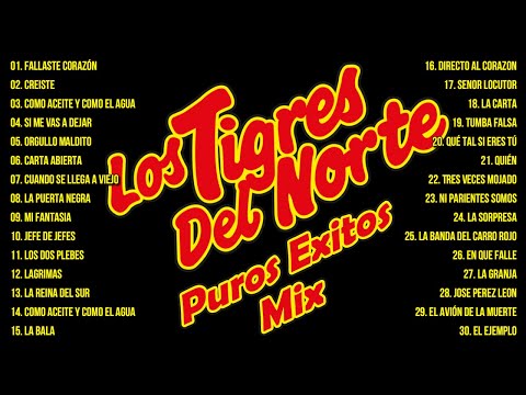 2 Hora De Puros Corridos De Los Tigres Del Norte Éxitos - Los Tigres Del Norte Mix 2024 Pa Pistear