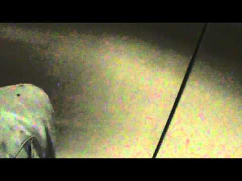 Chicago, IL: Fujitec Traction Elevators in Walton St. Parking Garage in 900 Shops