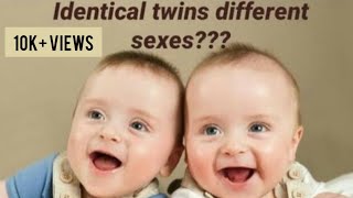 IDENTICAL TWINS DIFFERENT SEXES?? | Rare types of twins |  #twins | Sukanya Good Vibes