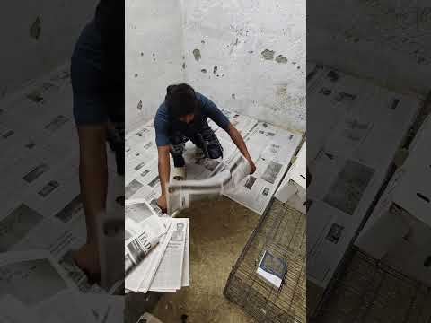 Chuze palne ka tarika seekhe Sirf 2 min mein.