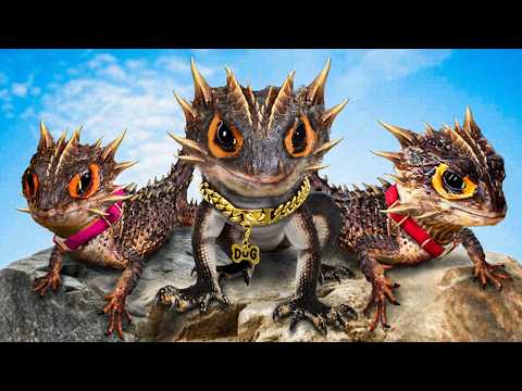 I Bought an Army of Dragons