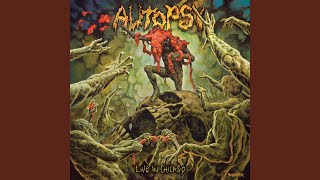 Voices (Live In Chicago)