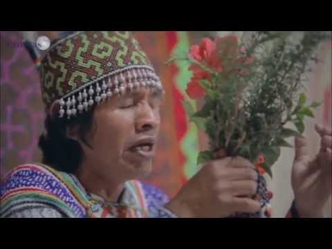 Icaros magical songs during Ayahuasca Ceremony