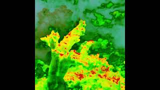 We are everything...