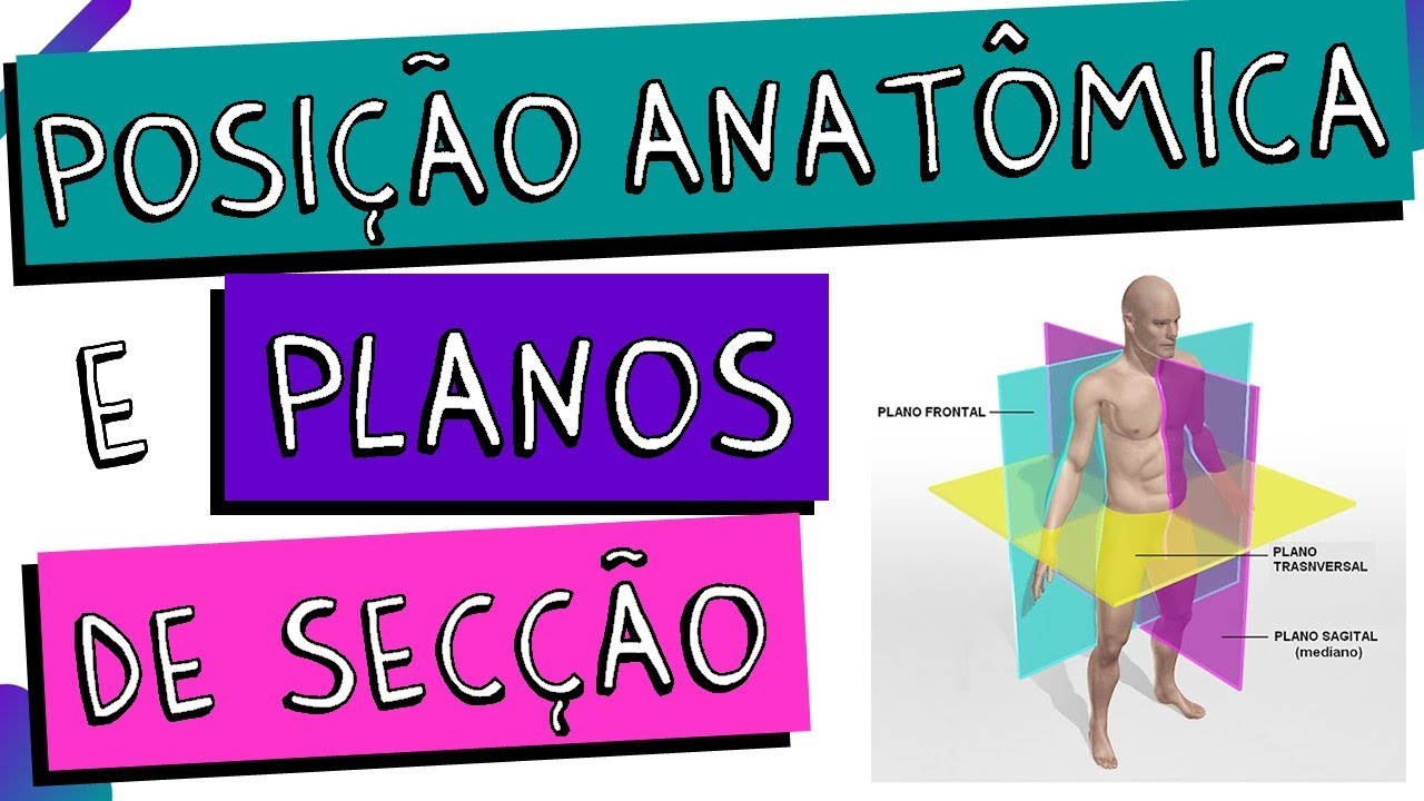 POSIÇÃO ANATÔMICA E PLANOS DE SECÇÃO do corpo humano - AXIAL, CORONAL E SAGITAL