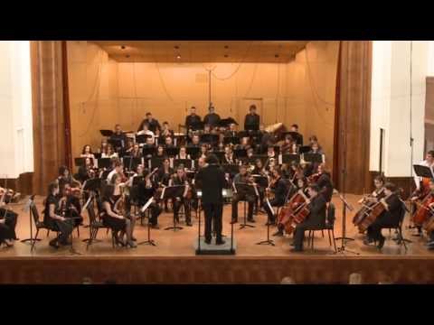 Nikola Starcevic - Carnival in Serbia (School Orchestra 