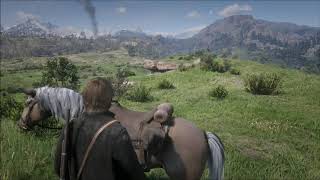 Far Cry 5 OST Dan Romer - Now That This Old World Is Ending 30 Min Loop