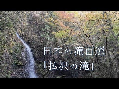 檜原村の見どころ「秋の払沢の滝」【滝】【日本の滝百選】