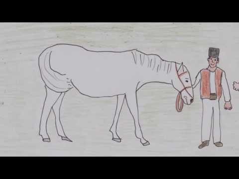 Tschiripik und die weiße Stute