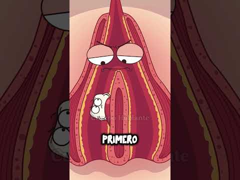 Por Qué Un Diente Puede Crecer En La Nariz? #animación #salud