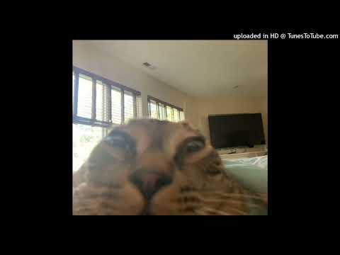 dj yung vamp x soudiere x dj smokey x roland jones type beat "richard millie plain"